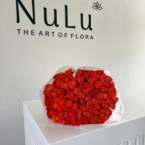 Orange Roses